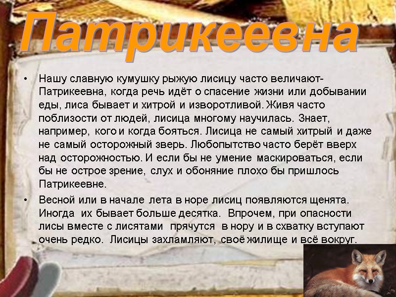 Нашу славную кумушку рыжую лисицу часто величают- Патрикеевна, когда речь идёт о спасение жизни